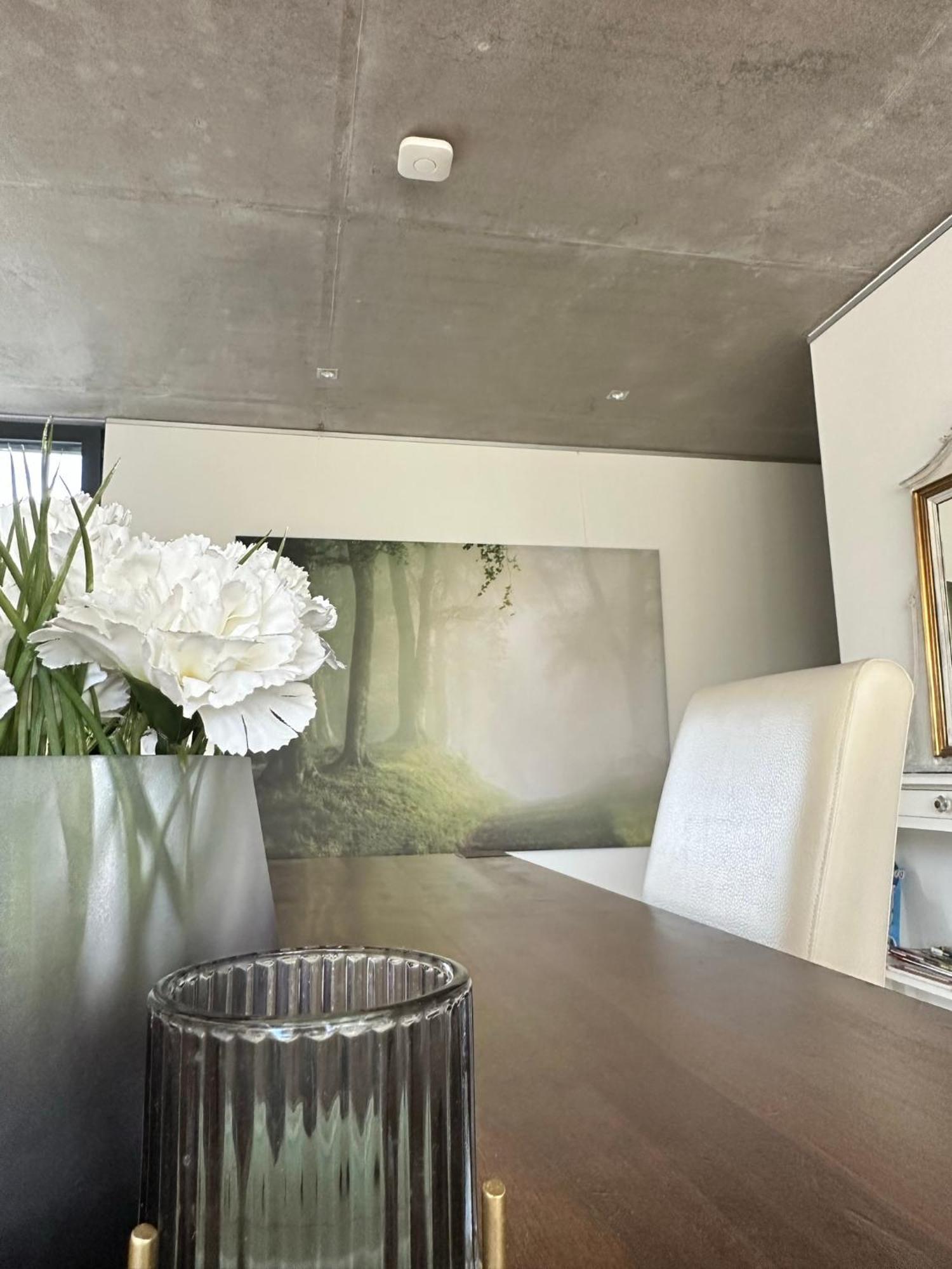 Vicas Ferienwohnung Kappel-Grafenhausen Dış mekan fotoğraf